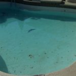 San Diego Fiberglass Swimming Pool and Spa Resurfacing